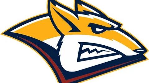 Торпедо в пролёте, Металлург идёт за кубком!