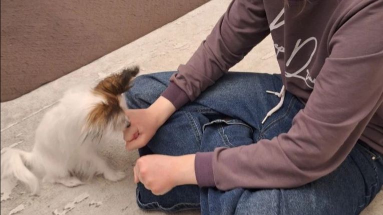 Играю с Джесей 😍