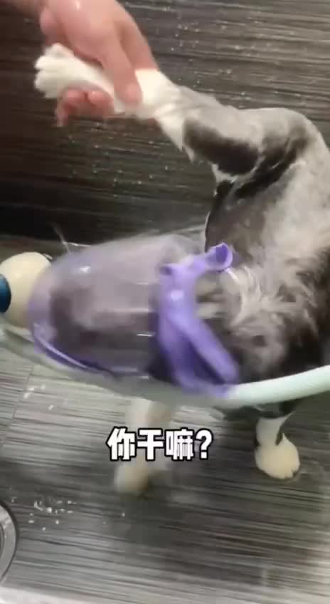 Гениальнaя рaзработка