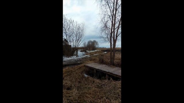 Берег озера Тишина и покой Галич 2026г.