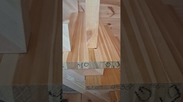 1000056323.mp4 (Собака наблюдает за устройством лестницы на 2-ой этаж в доме А-фрейм)