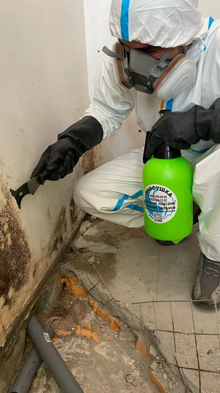 #удалить_плесень