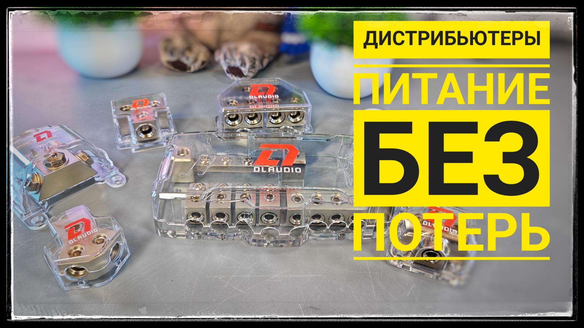 Что делает дистрибьюторы DL Audio особенными? Разбираем детально