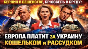 "Дойная корова" Европы: немцы в ярости от того, как Зеленский обозвал их страну