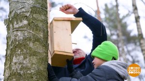 Папа вам не мама, с ним сделаем скворечники! Доброе утро. Суббота. Фрагмент выпуска от 18.04.2026