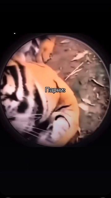 Почему женщины живут больше мужчины