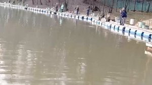 18.04.26 г. РК Волна.