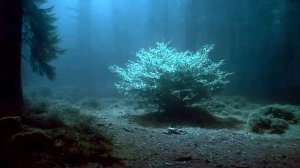 Endlight — misty drone ambience for quiet introspection