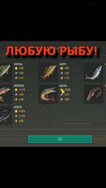 КАК РАБОТАЕТ КОШАЧИЙ ДОМИК?! 😱