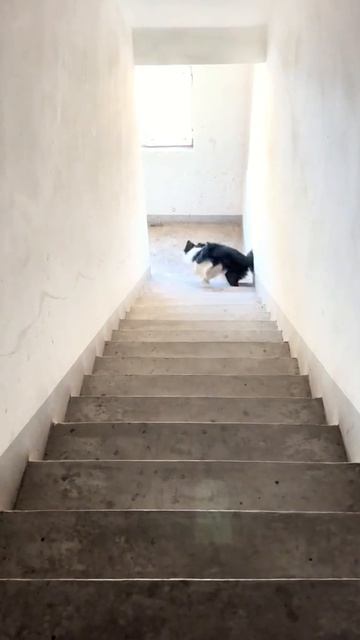 Самозанятость 👍))