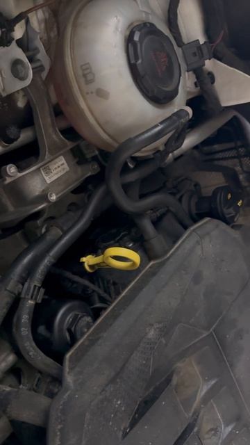 Шум посторонний Тигуан