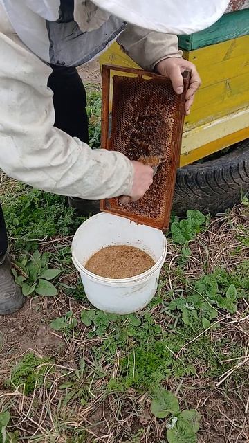 Докорм в апреле 26г