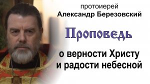 Проповедь о верности Христу и радости небесной (2026.04.17). Протоиерей Александр Березовский