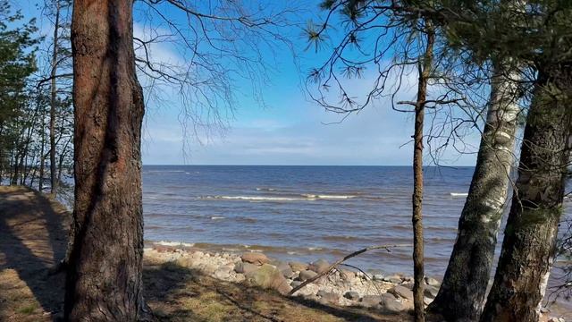 Голос воды и ветра смотреть онлайн