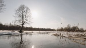 КЛЯЗЬМА/По снежной пойме, первая вода/Сплав на лодке в начале половодья/4K ландшафты