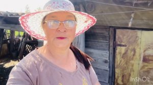 Попала в немилость