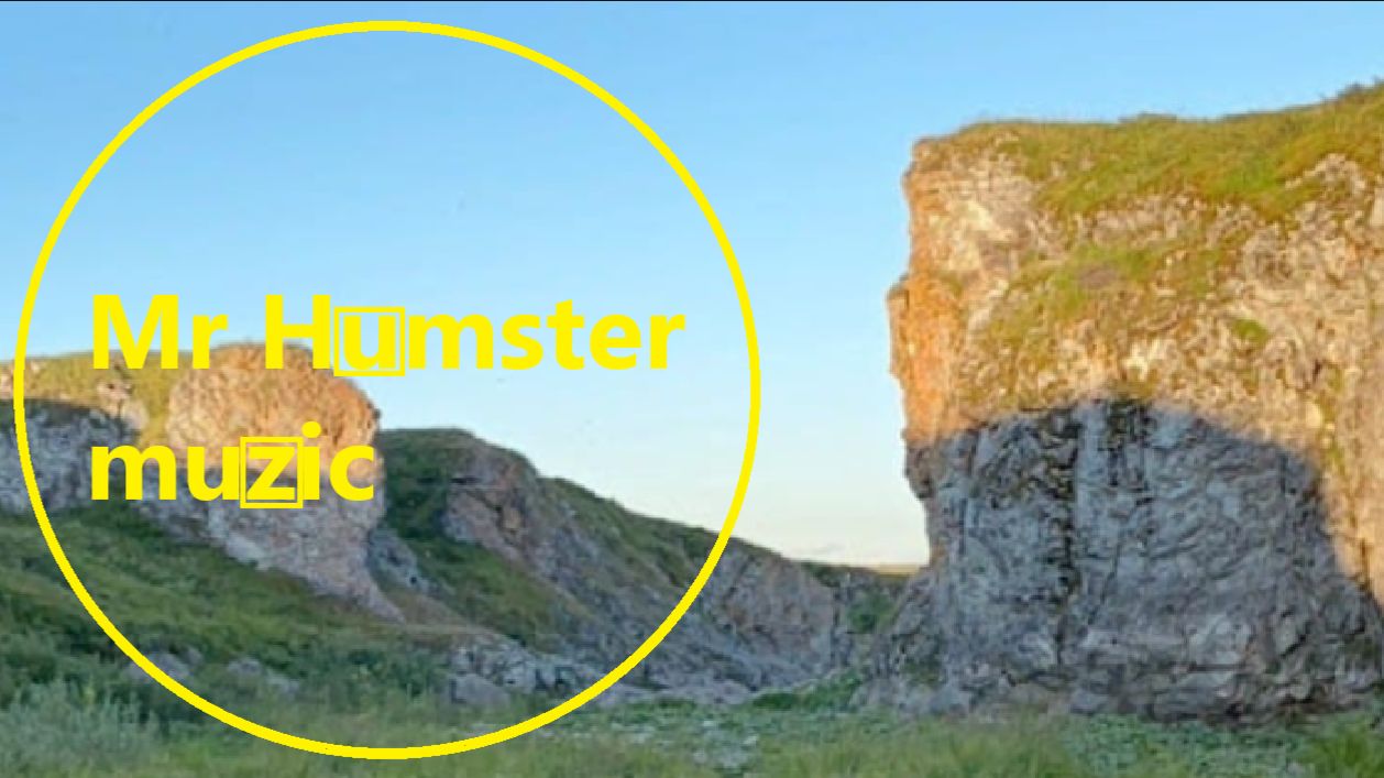 Mr Humster Muzic / Bass 35