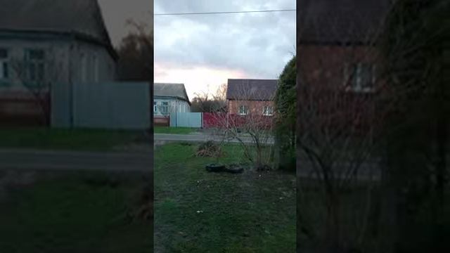 Вся травля за день