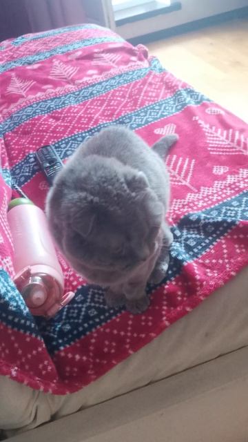 VID_20260418_123522.mp4