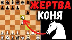 Жертва Коня на 3м ходу! Шахматная ловушка!