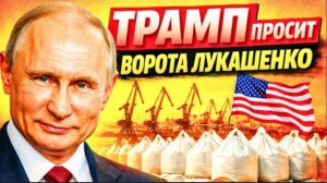 ЦЕПОЧКА СЛОЖИЛАСЬ! ТРАМП ПРОСИТ ПРИБАЛТИКУ! ОТКРОЙ ВОРОТА ДЛЯ ЛУКАШЕНКО!