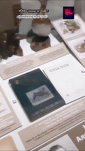 Москва. Дарвиновский музей. Жизнь вовремя СВО. Декабрь 2025.