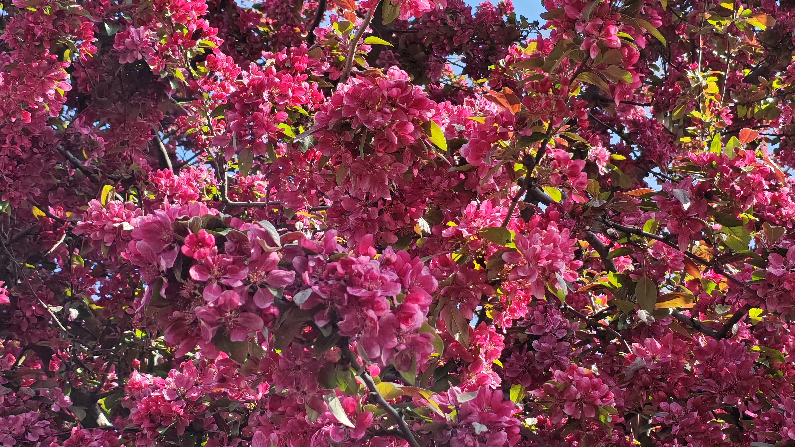 наш гендр пати для коллектива 😁