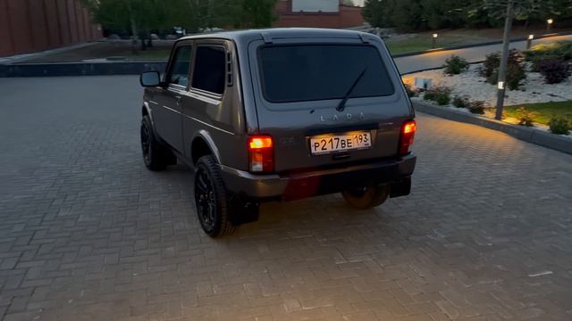 Медведь в тайге