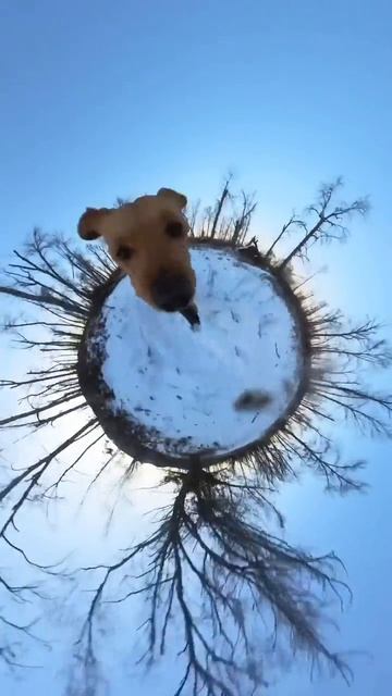 Начинающий блогеррр😄))