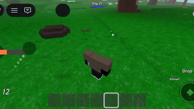 29 ночей в лесу