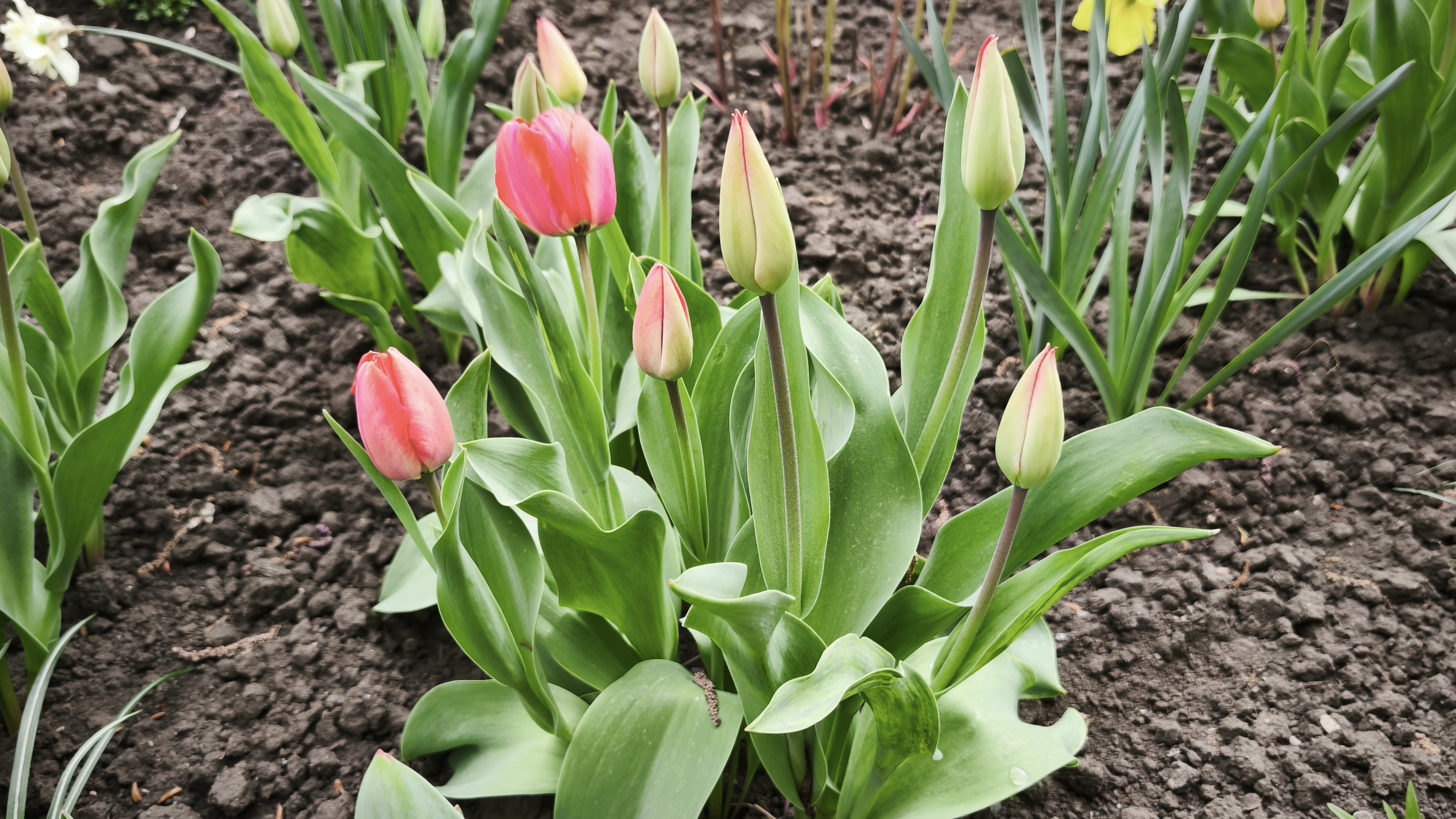 Наша природа прекрасна// От чего я отказалась//