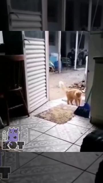 Коротко о моей нервной системе