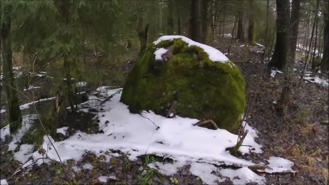 Зимний коп.