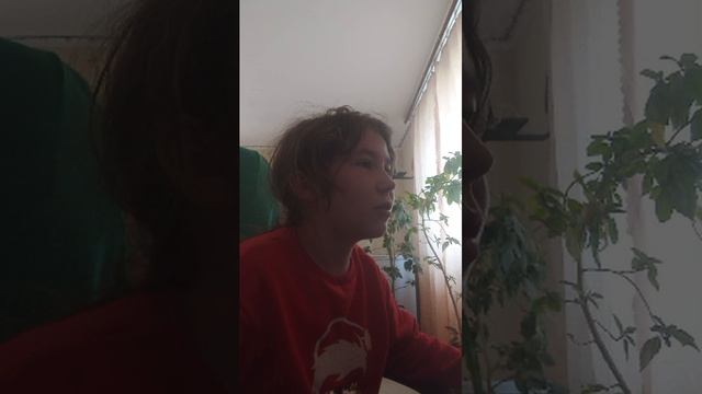 играю в майн