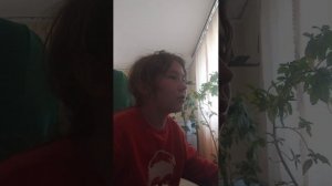 играю в майн