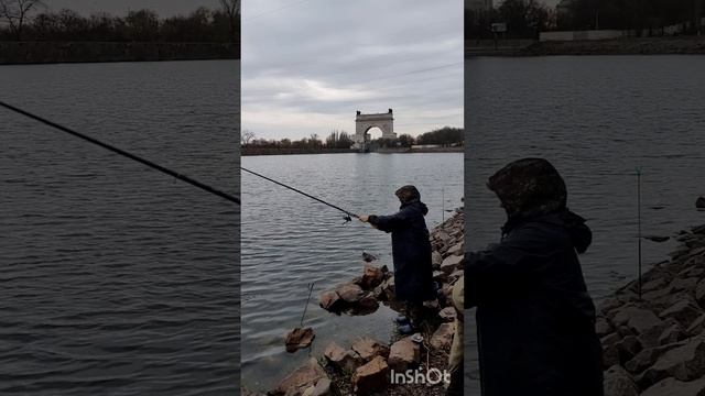 Мелочь долбит, не успеваем червяка насаживать😃