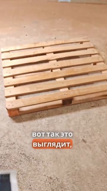 Начало положено 💪