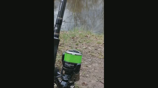 Daiwa Tournament 832 + Twin Power 4000 XD