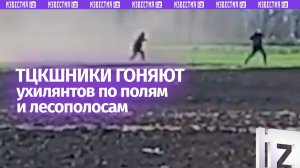 «*** до нас бежит!»: юркий «ухилянт» заставил ТЦК потоптать поля в погоне