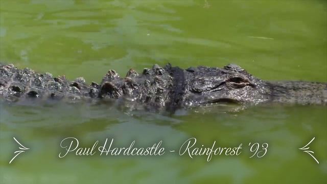 Paul Hardcastle - Rainforest '93