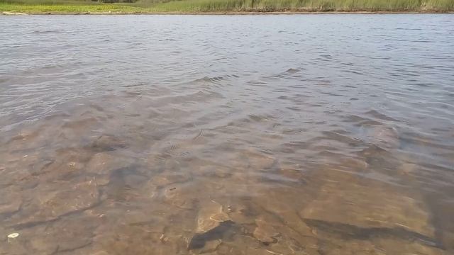 просто река))))