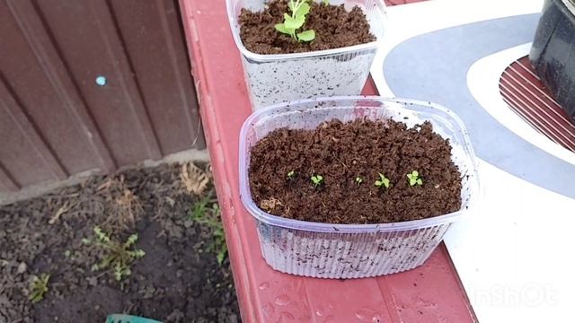 Ребята помоглиработа на улице как живут в русской деревне..