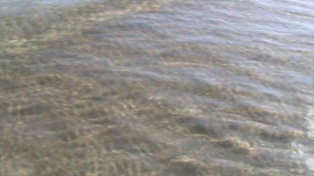 41)М ДЖЕМЕТЕ СОБИРАЕТ РАКУШКИ МАМА