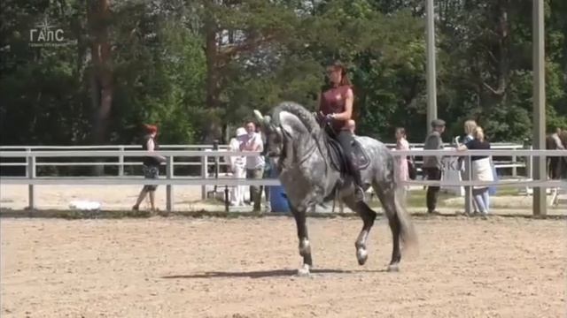 Ржание судьбы пролог