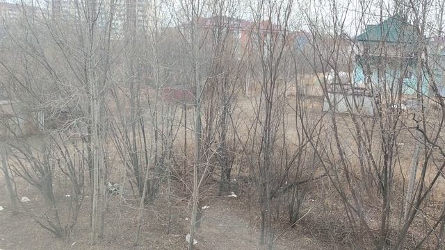 Биробиджан. 18.04.2026г. Завтрак. 67 это не 25