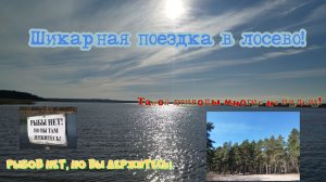 Поездка на природу в Лосево Ленинградской области!