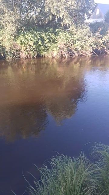 B26f04fa-1d1f-4350-842a-32be137e5fa7-1_all_9024.mp4