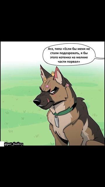 Капитан Цветочек) Пикси и Брут