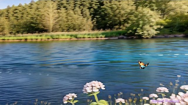 Речка Реченька река