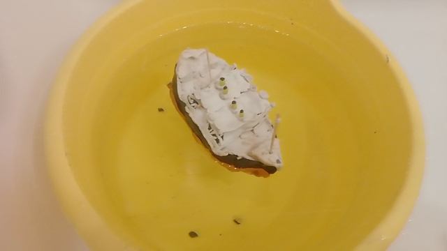 Затопил мини Титаник